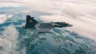 Helsing Successfully Flies with AI